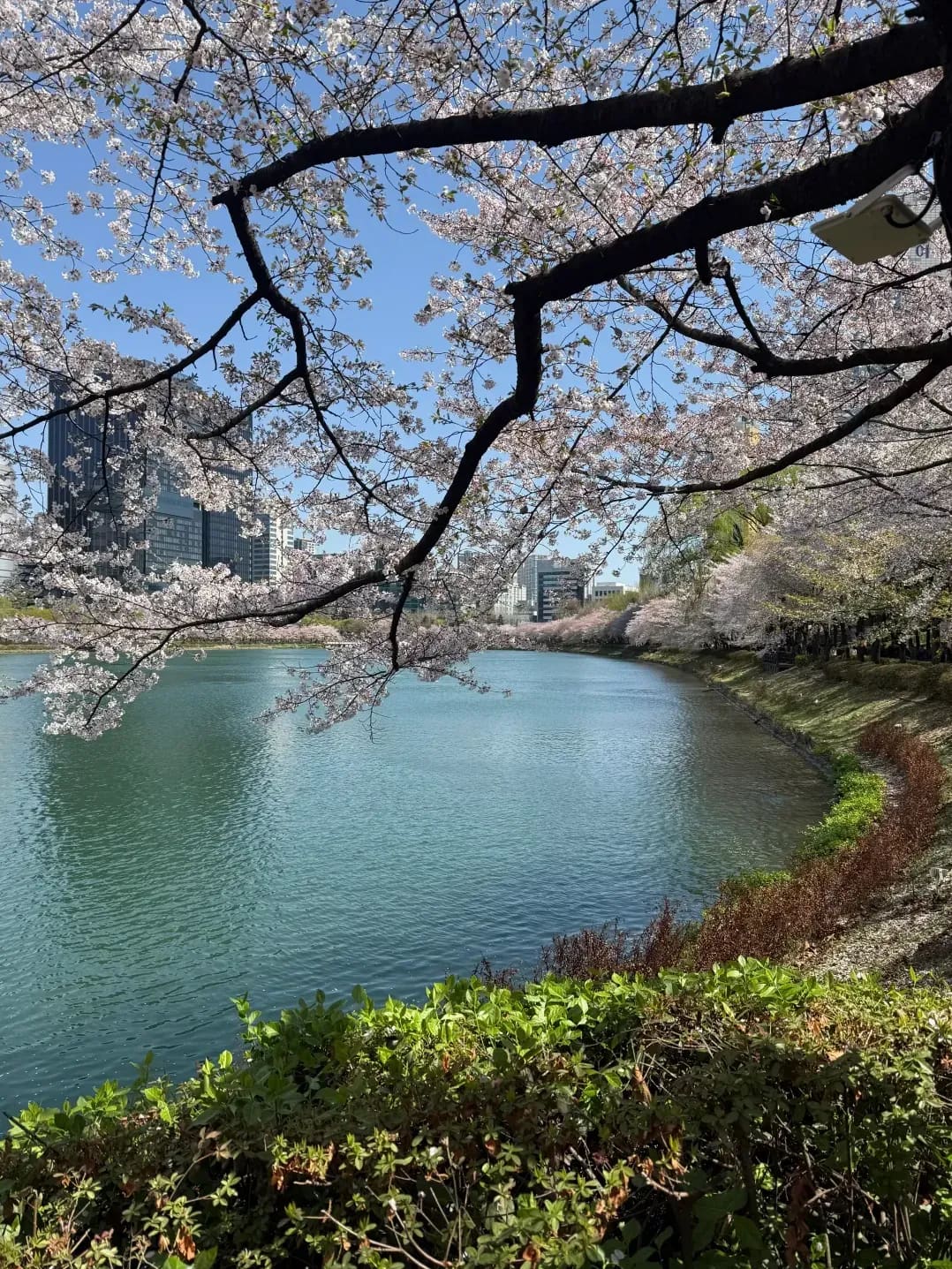学習習慣サポート